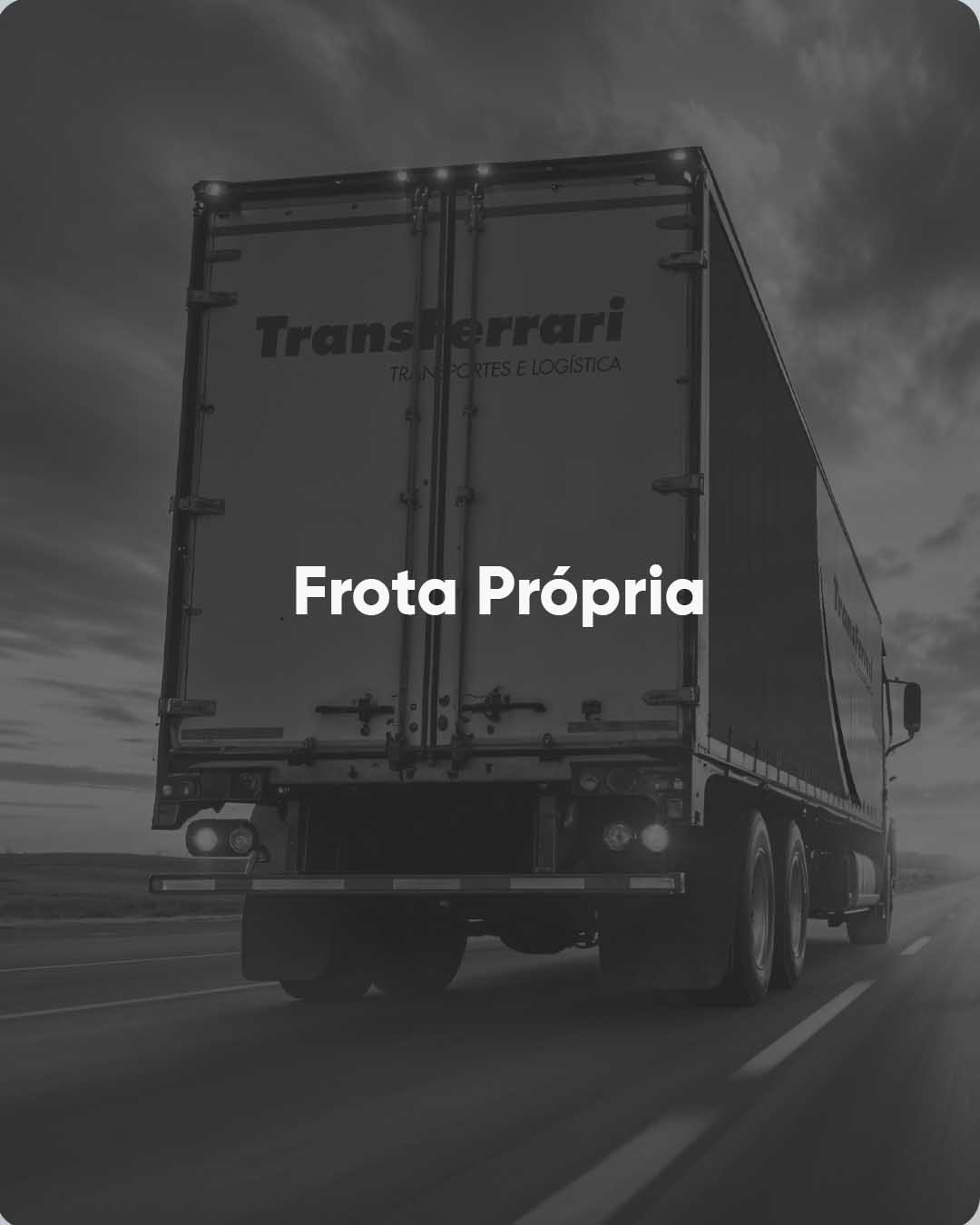 FROTA PROPRIA E DIVERSIFICADA